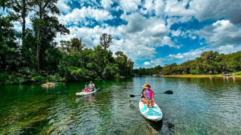 Orlando: Lake Conway Paddle Board or Kayak Tour - Key Points