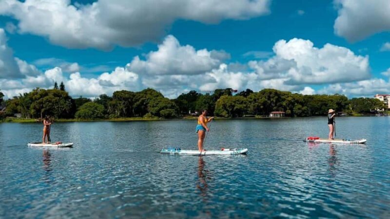 Orlando: Lake Conway Paddle Board or Kayak Tour - An Overview of Lake Conway Paddle & Kayak Tours