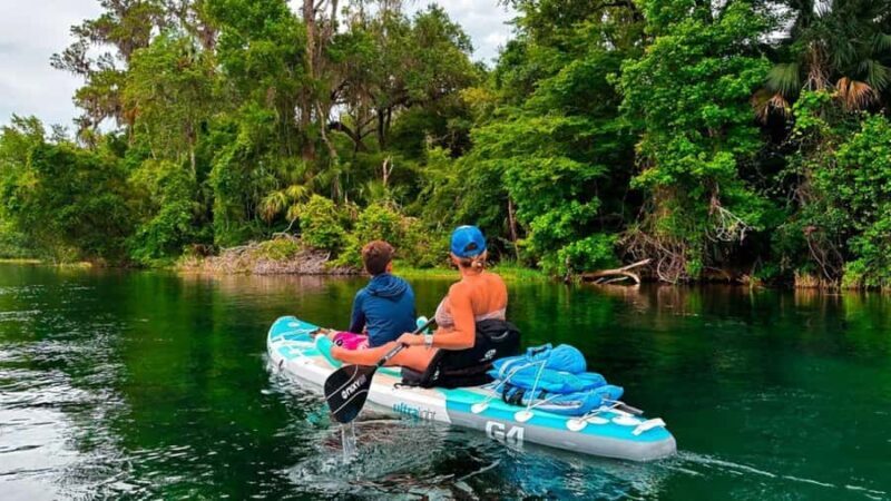Orlando: Lake Conway Paddle Board or Kayak Tour - Wildlife and Natural Beauty