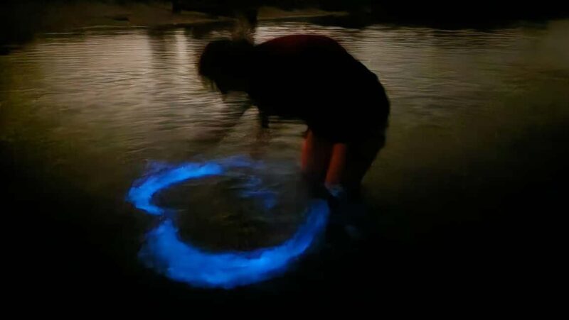 Orlando: Magic After Dark Bioluminescence Kayak Tour - Key Points