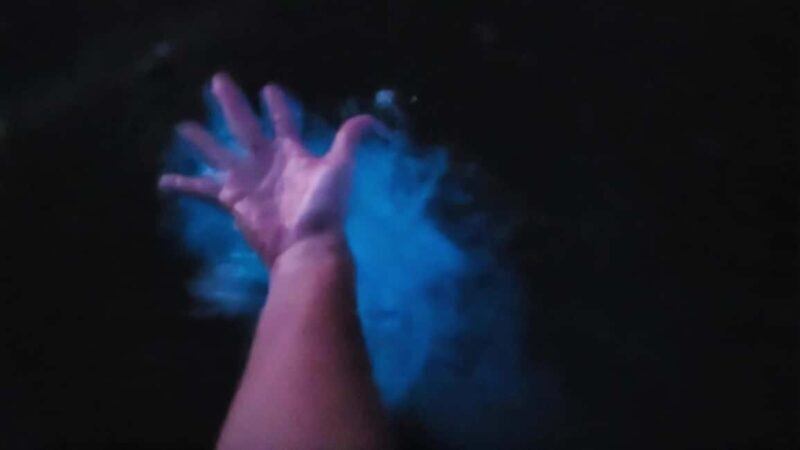 Orlando: Magic After Dark Bioluminescence Kayak Tour - The Itinerary: What to Expect on Your Night Adventure