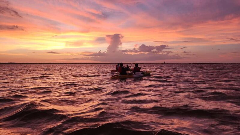 Orlando: Magic After Dark Bioluminescence Kayak Tour - Value and Overall Impression