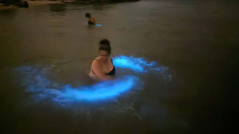 Orlando: Magic After Dark Bioluminescence Kayak Tour - Who Should Consider This Tour?
