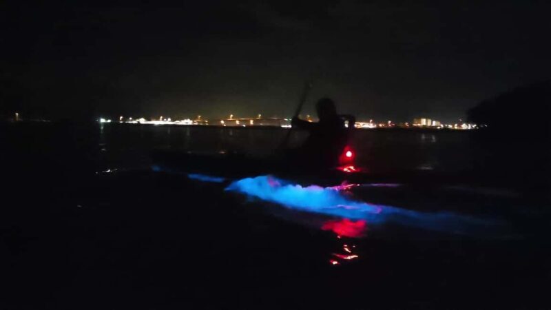 Orlando: Magic After Dark Bioluminescence Kayak Tour - The Sum Up: Is It Worth It?