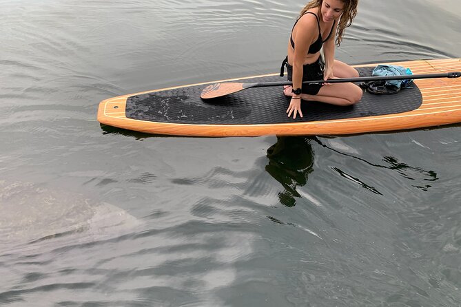 Orlando Manatee and Olde Florida History Adventure Tour - Manatee Encounters