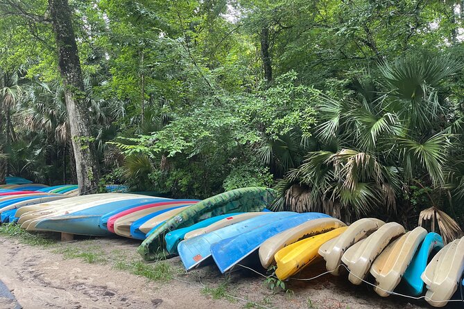 Orlando Private City Sightseeing Tour With Pickup - Tour Overview