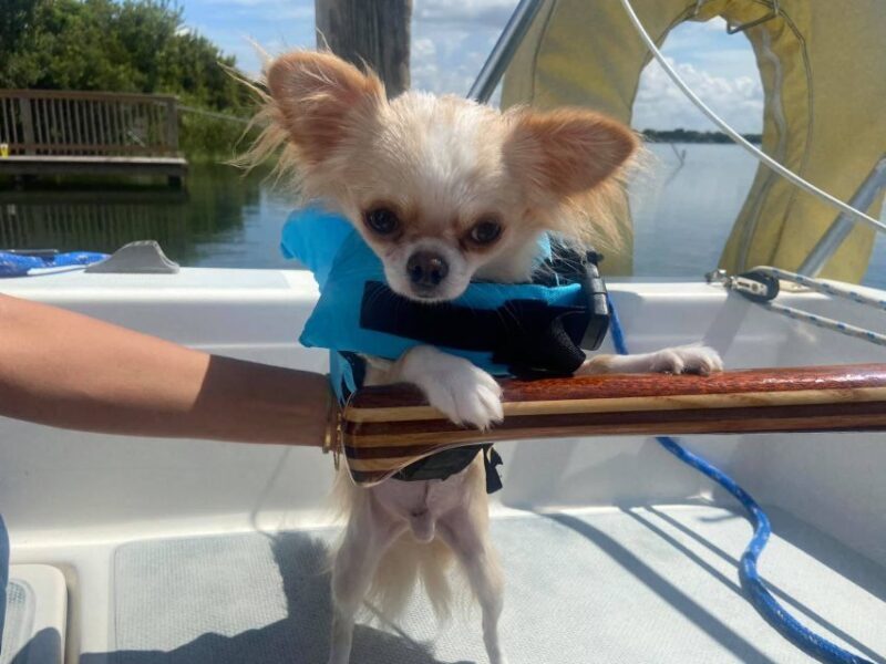 Orlando: Sailing Tour with Certified Sailing Instructor - Final Thoughts: Is It Worth It?