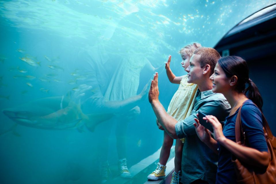 Orlando: SEA LIFE Orlando Aquarium - Customer Reviews and Ratings