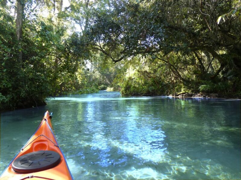 Orlando: Small Group Rock Springs Run Kayak Tour - Key Points