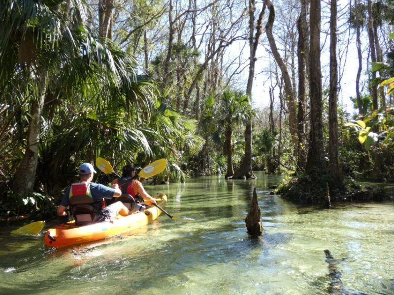 Orlando: Small Group Rock Springs Run Kayak Tour - Why This Tour Offers Great Value