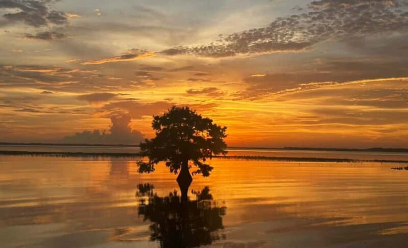 Orlando Sunset Airboat Tour w/ Alligator & Wildlife Viewing - What Makes This Tour Special?