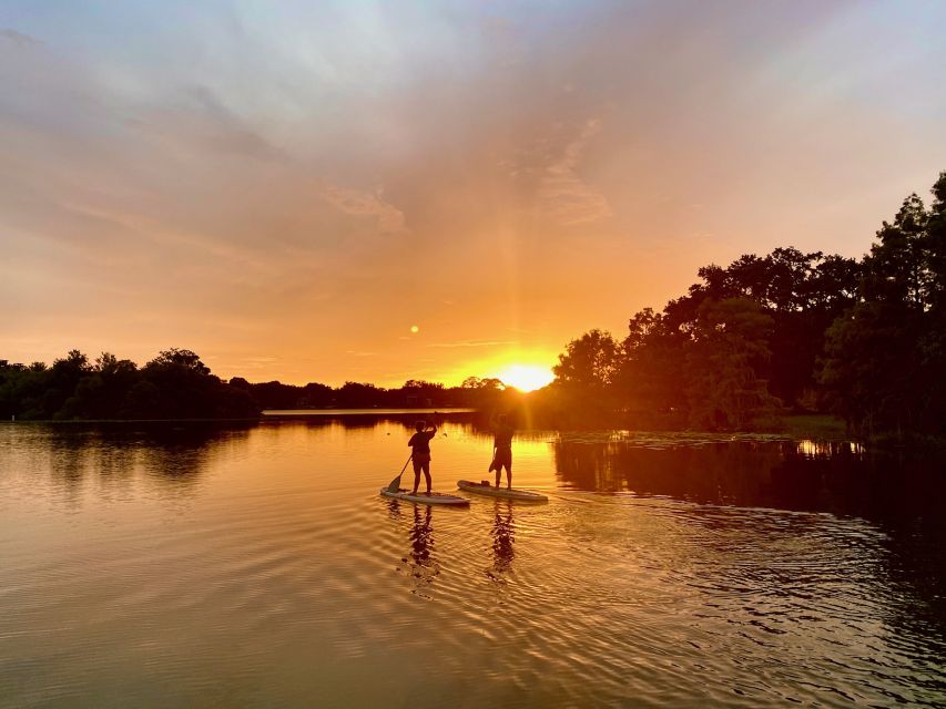 Orlando: Sunset Clear Kayak or Paddleboard in Paradise Tour - Frequently Asked Questions