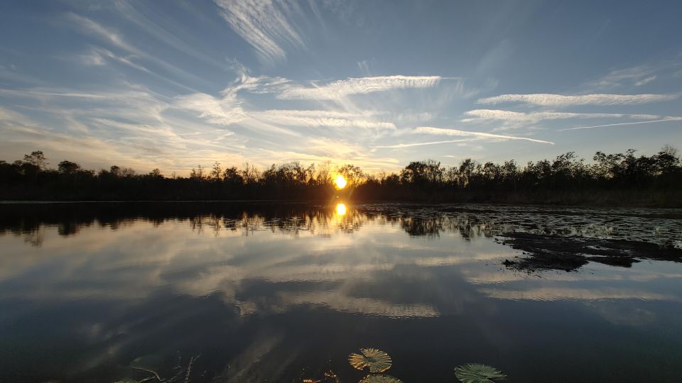 Orlando: Sunset Guided Kayaking Tour - Key Points