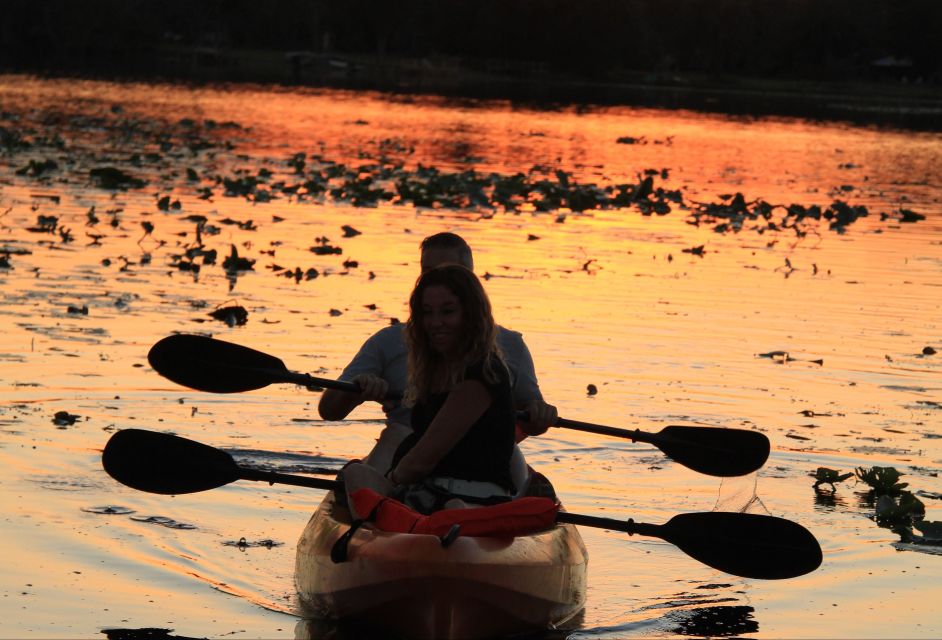 Orlando: Sunset Guided Kayaking Tour - Kayaking Experience