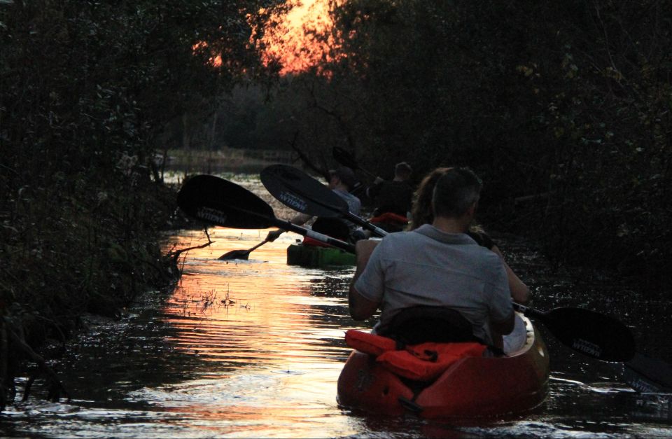 Orlando: Sunset Guided Kayaking Tour - Included and Excluded Items