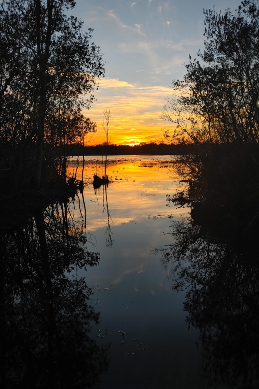 Orlando: Sunset Guided Kayaking Tour - Booking and Availability