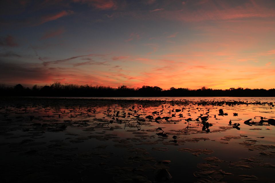 Orlando: Sunset Guided Kayaking Tour - Frequently Asked Questions