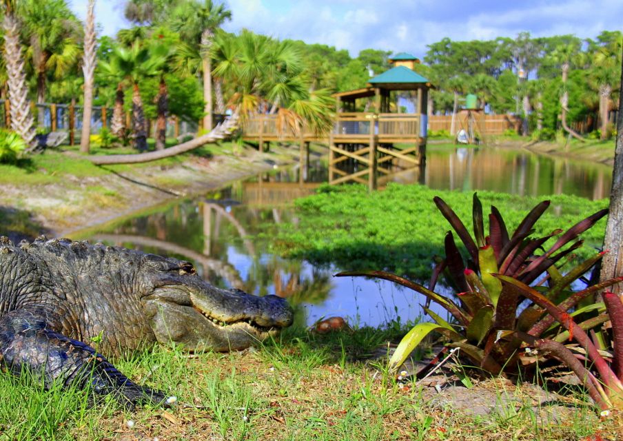 Orlando: Wild Florida Airboat Ride With Transport & Lunch - Observe Wildlife in Action