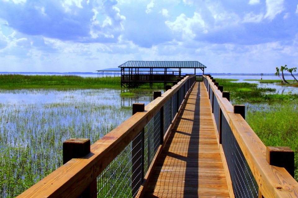 Orlando: Wild Florida Airboat Ride With Transport & Lunch - Roundtrip Transportation Included