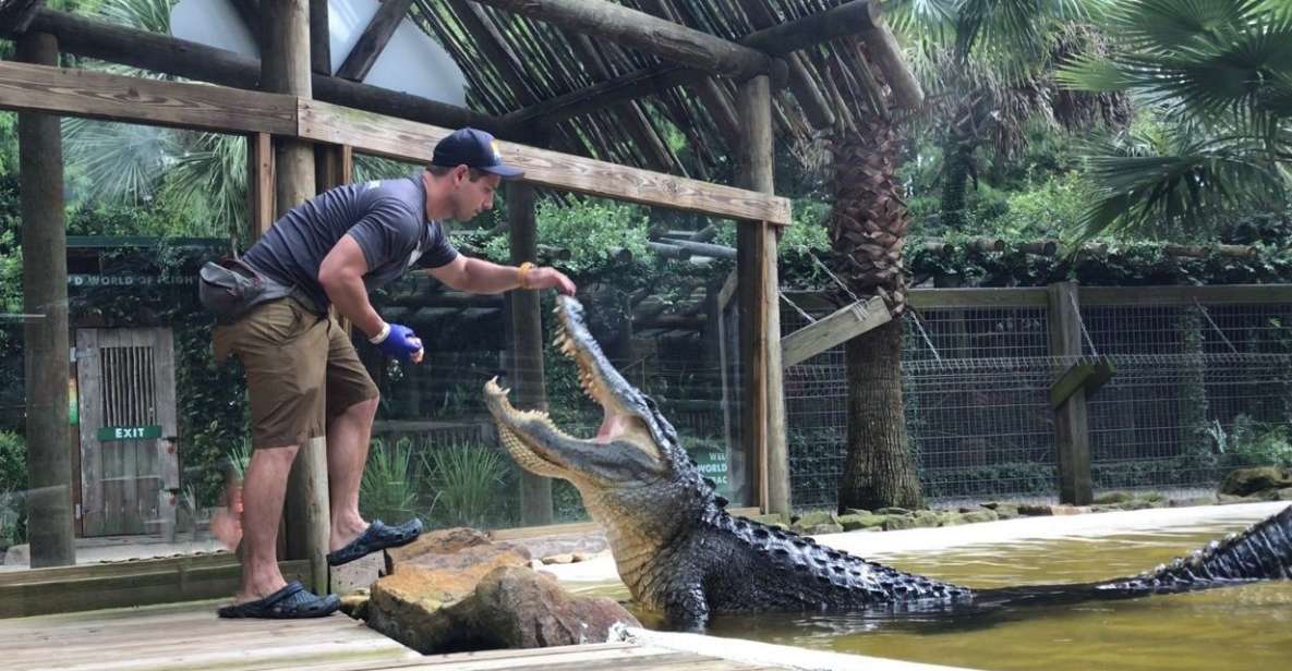 Orlando: Wild Florida Park, Gator Show & Animal Encounters - Aviary Exploration