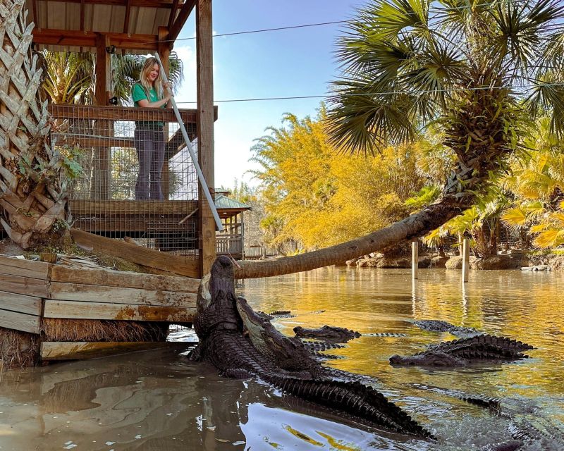 Orlando: Wild Florida Park, Gator Show & Animal Encounters - Swamp Nature Trails