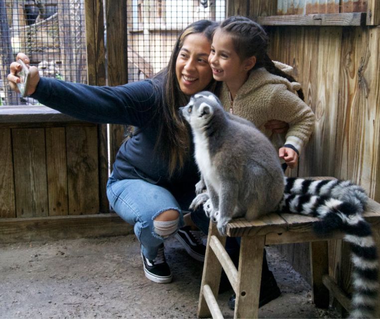 Orlando: Wild Florida Park, Gator Show & Animal Encounters - Frequently Asked Questions