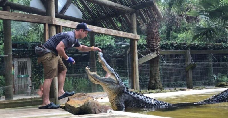 Orlando: Wild Florida Park Ticket and Gator Shows - Orlando: Wild Florida Park Ticket and Gator Shows – A Practical Guide