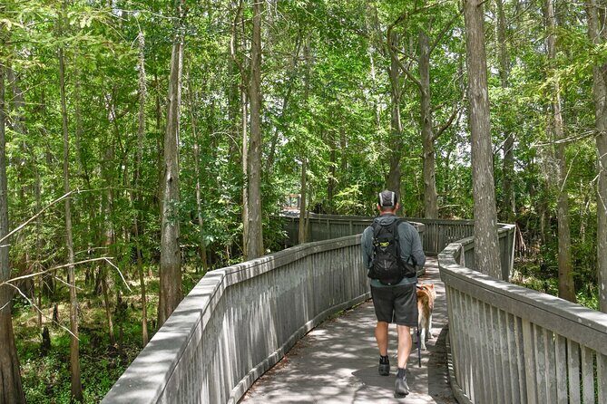 Orlando Wildlife Safari Hike with a Wildlife Photographer - Key Points