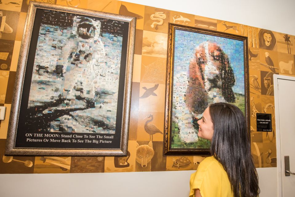 Orlando: WonderWorks Nighttime Entry Ticket - Upside-Down Adventure