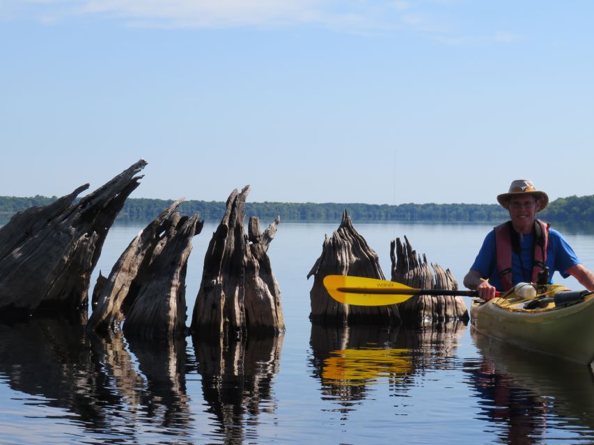 Orlandos Lake Norris: 5-Hour Kayak Explorer Tour With Lunch - Diverse Wildlife