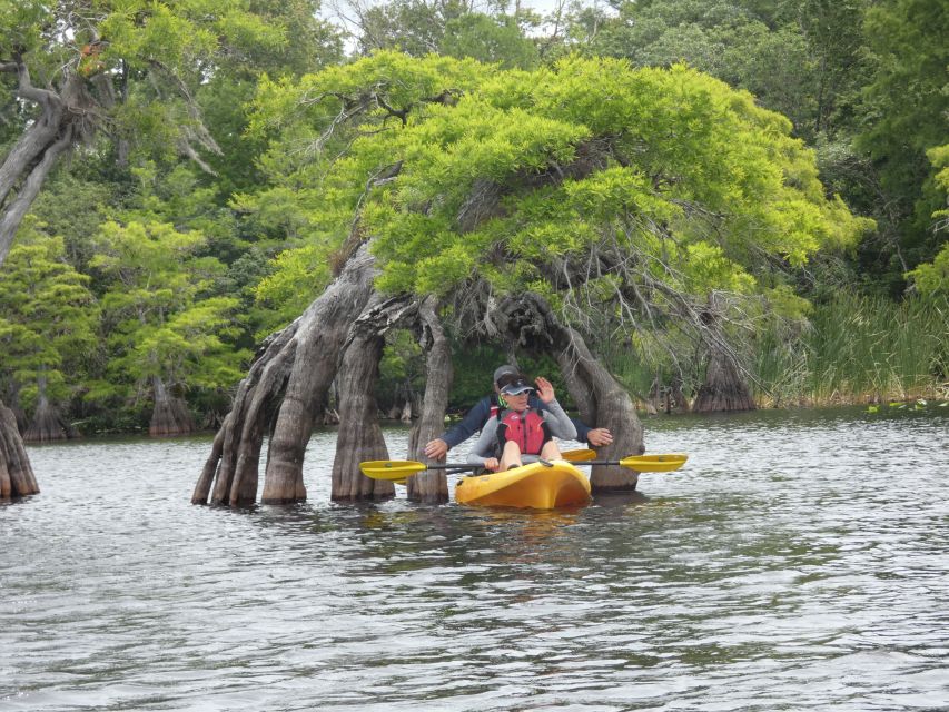 Orlandos Lake Norris: 5-Hour Kayak Explorer Tour With Lunch - Guided Experience