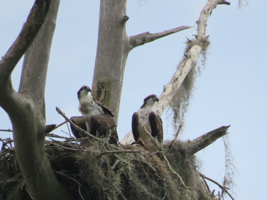 Orlandos Lake Norris: 5-Hour Kayak Explorer Tour With Lunch - Photographic Opportunities
