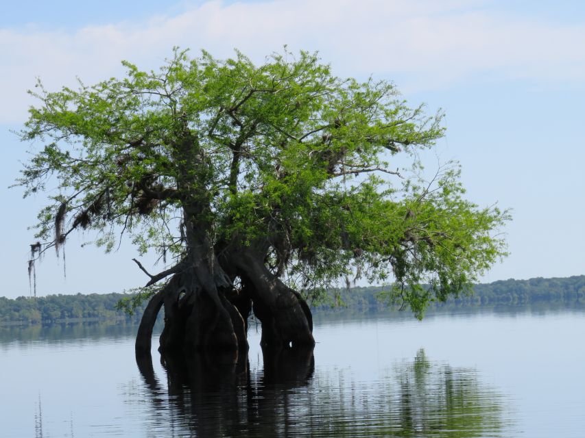 Orlandos Lake Norris: 5-Hour Kayak Explorer Tour With Lunch - Included Amenities