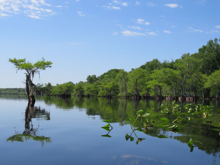 Orlandos Lake Norris: 5-Hour Kayak Explorer Tour With Lunch - Highlights of the Tour
