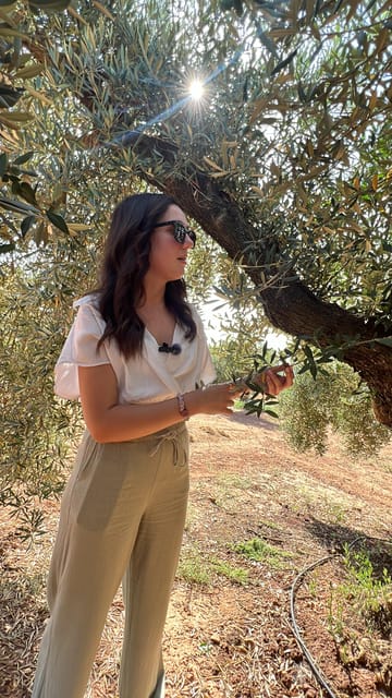 "Oro Bailén": Tour of Oro Bailen Grove + Mill + Tasting - Introduction