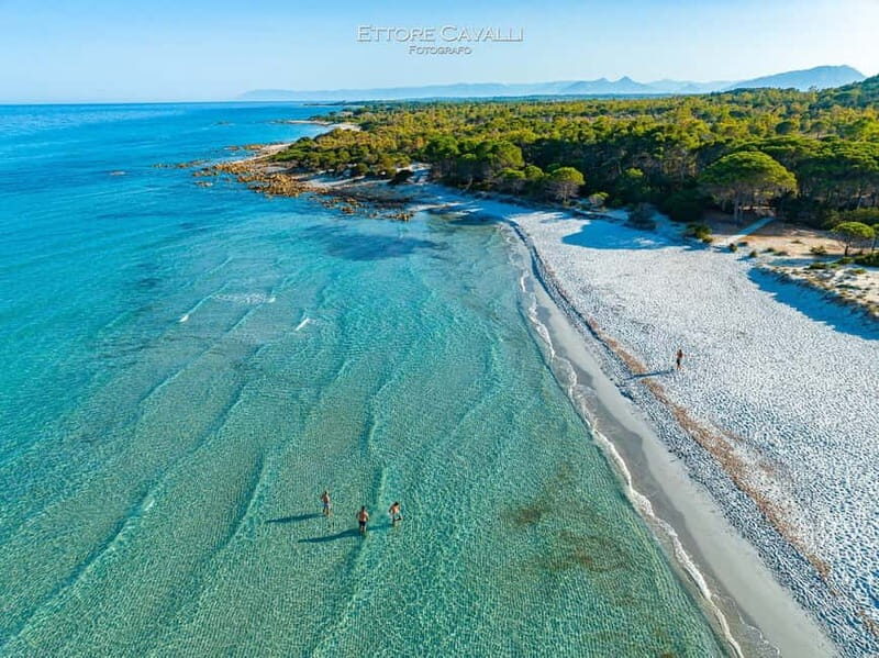Orosei: 4x4 Tour Oasi di Biderosa and Capo Comino Beach - Key Points