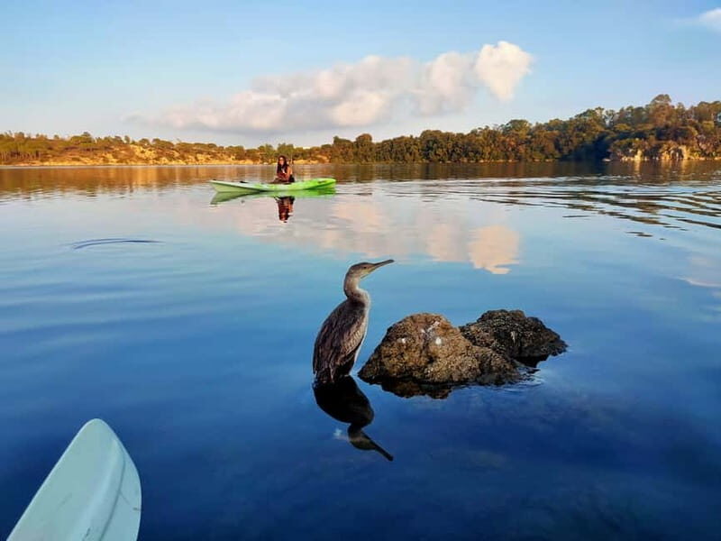 Orosei: Guided Kayak Tour of the Biderosa Oasis at Sunset - A Detailed Look at the Experience