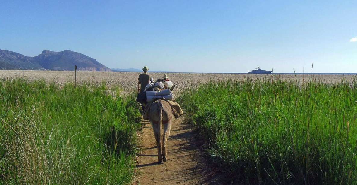 Orosei Gulf: 3 Days Trekking With Donkeys - Key Points
