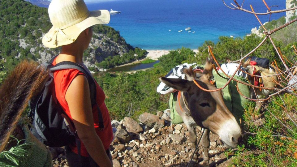 Orosei Gulf: 3 Days Trekking With Donkeys - Breathtaking Coastal Scenery