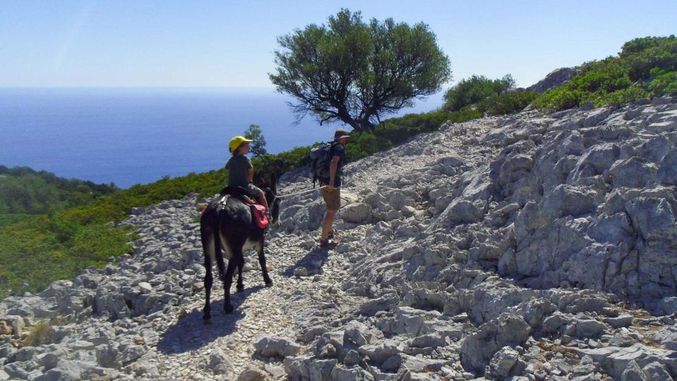 Orosei Gulf: 3 Days Trekking With Donkeys - Tent and Bungalow Accommodation