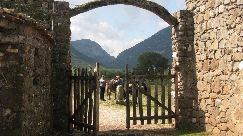 Orosei Gulf: 3 Days Trekking With Donkeys - Friendly Donkey Companions