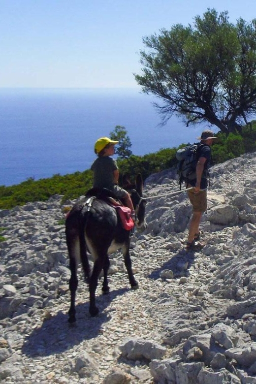 Orosei Gulf: 3 Days Trekking With Donkeys - Equestrian Guides Expertise