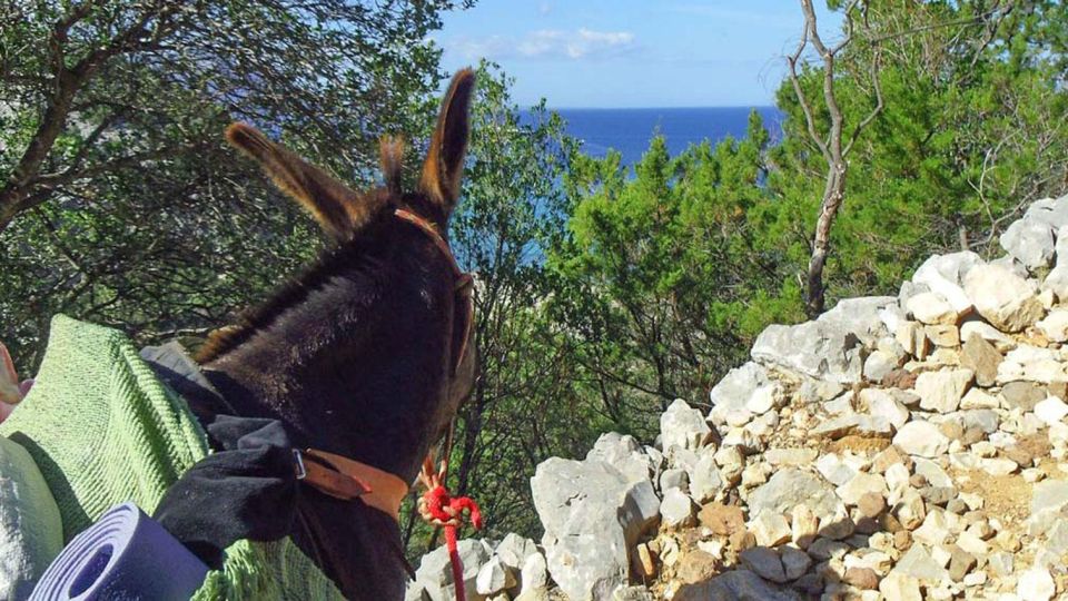 Orosei Gulf: 3 Days Trekking With Donkeys - Adventurous Spirit Requirement