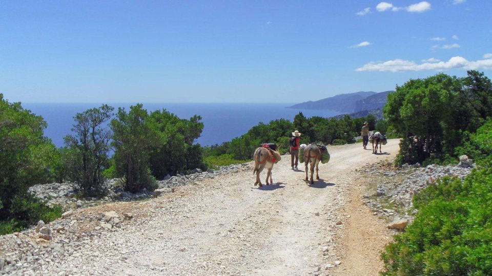 Orosei Gulf: 3 Days Trekking With Donkeys - Frequently Asked Questions