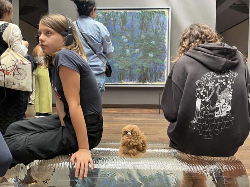 Orsay Museum: Museum Ticket Entry & 2h Private Guided Tour - Customer Feedback