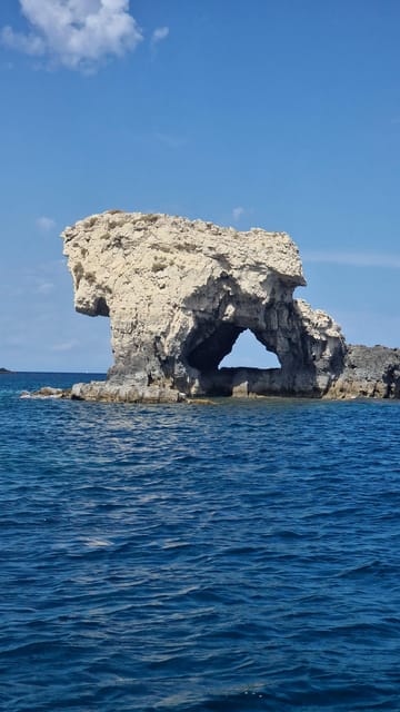 Ortigia boat excursion - Snorkeling and Marine Life