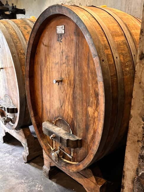 Orvieto: Guided 2-hour Winery Tour with Wine Tasting - Why Choose This Tour?