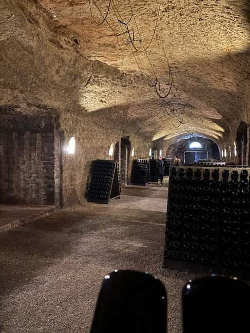 Orvieto: Guided 2-hour Winery Tour with Wine Tasting - The Sum Up