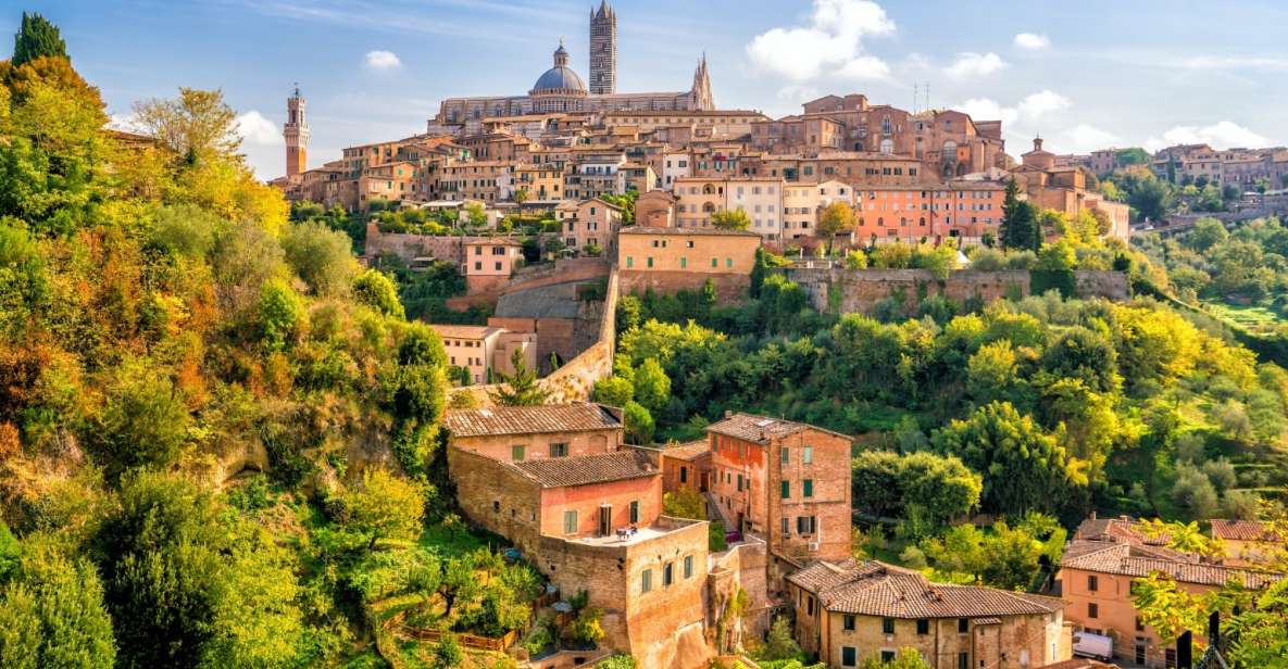Orvieto: Private Walking Tour With the Cathedral of Orvieto - Key Points