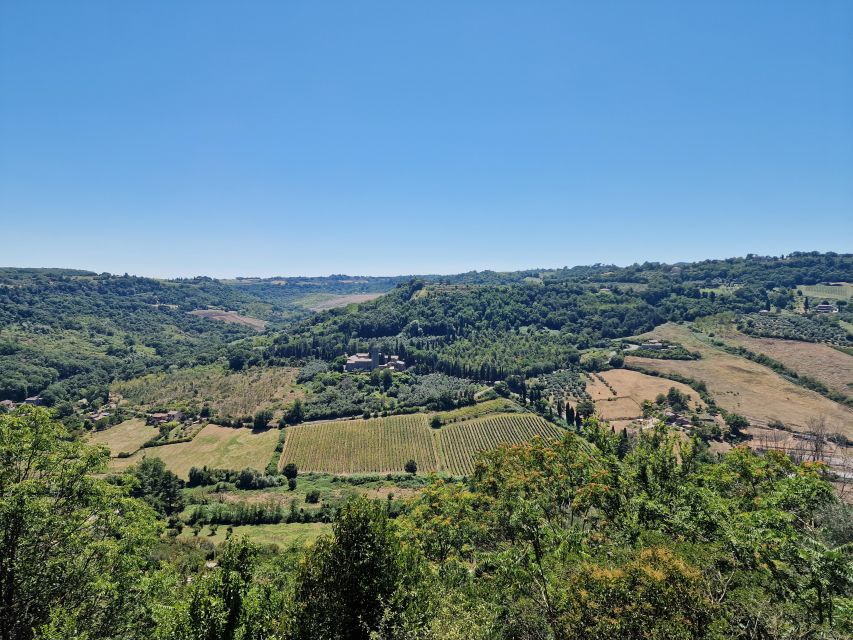 Orvieto the Etruscan City Private Tour From Rome - Frequently Asked Questions